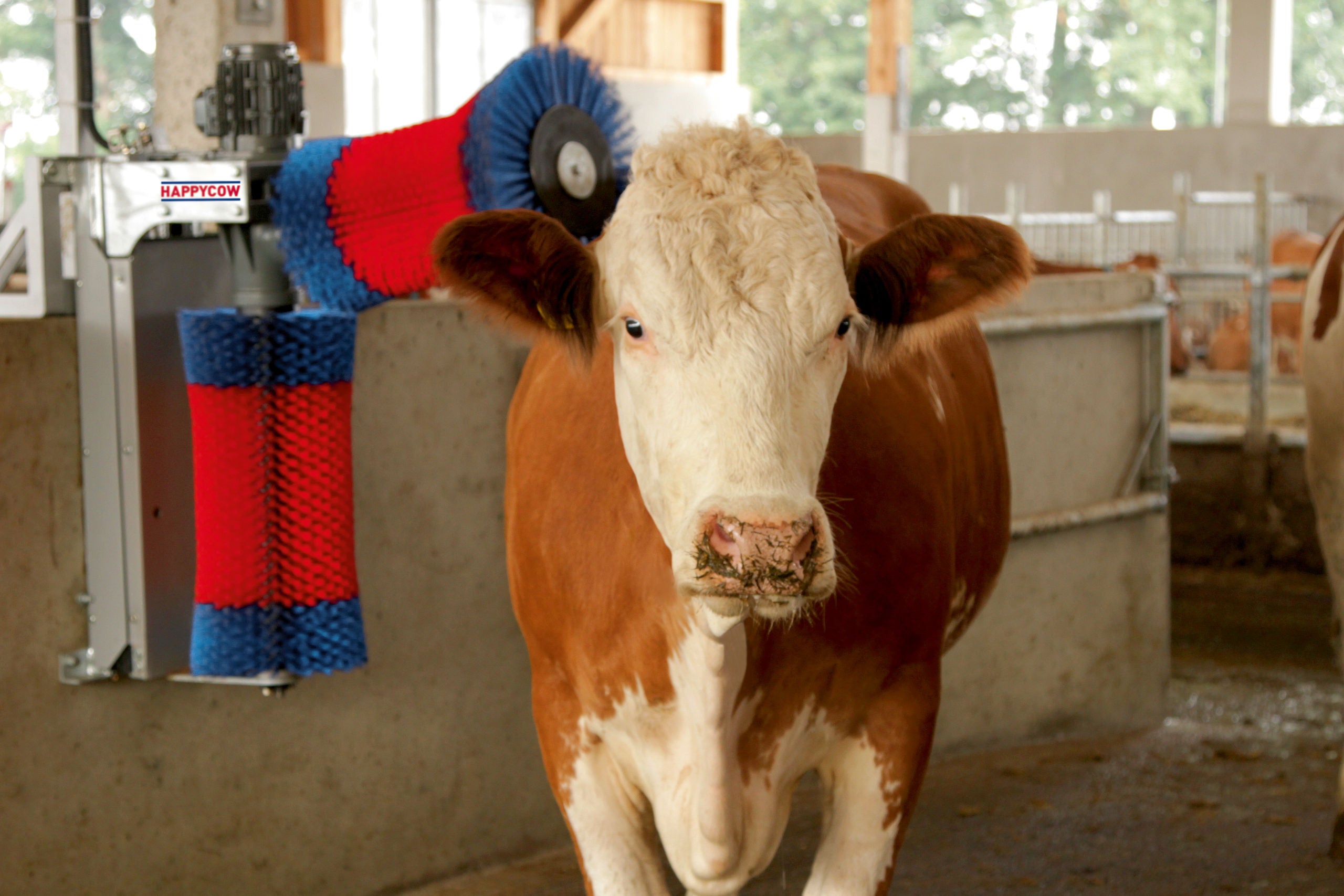 KRTACA vrtljiva - HappyCow Duo