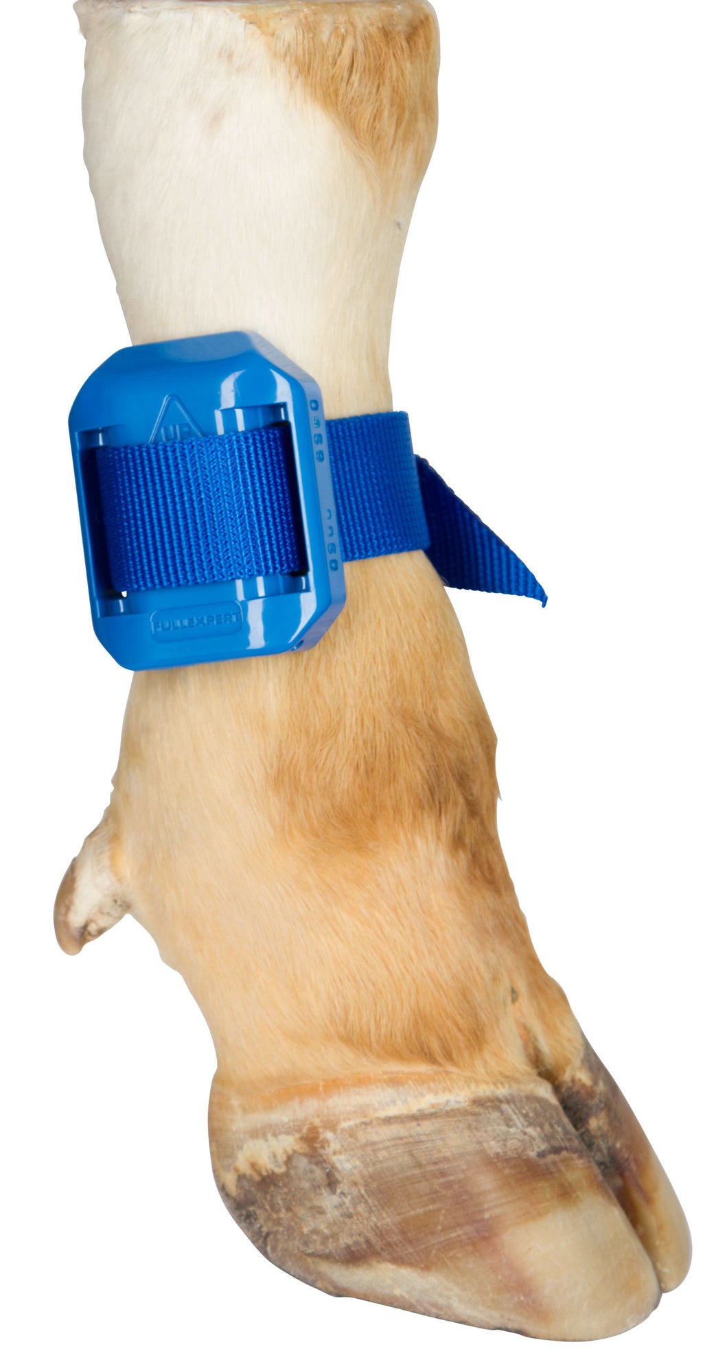 JERMEN za pedometer