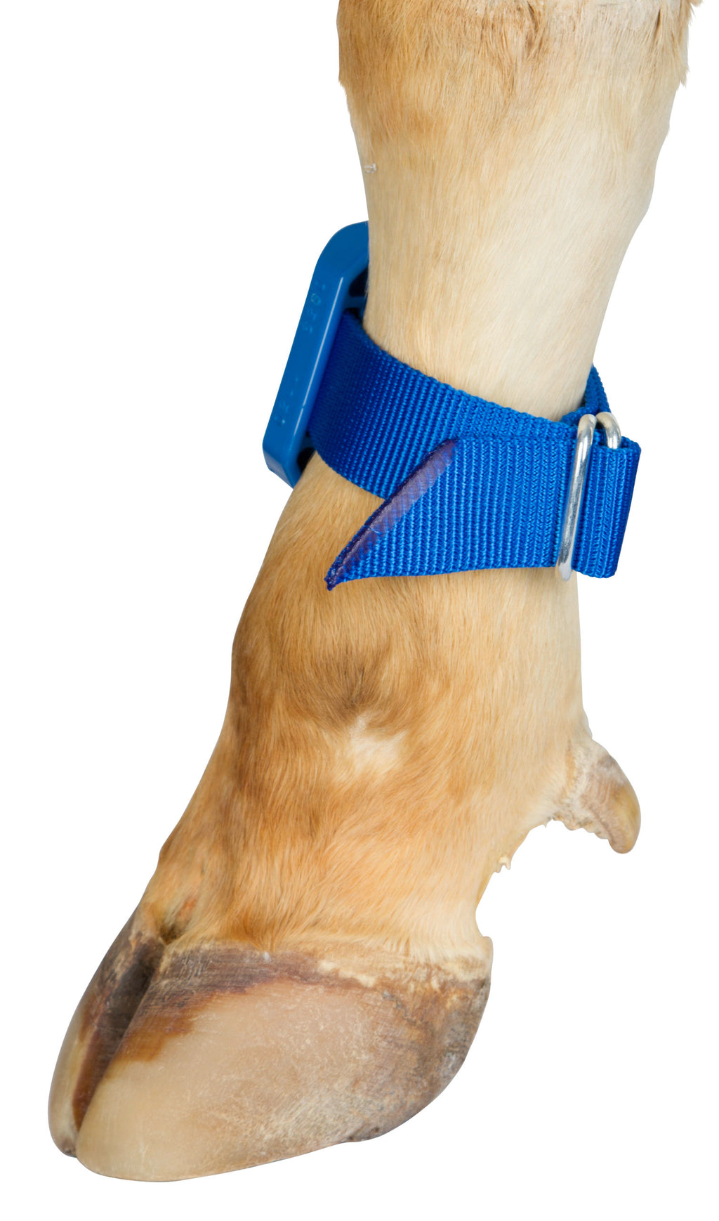 JERMEN za pedometer