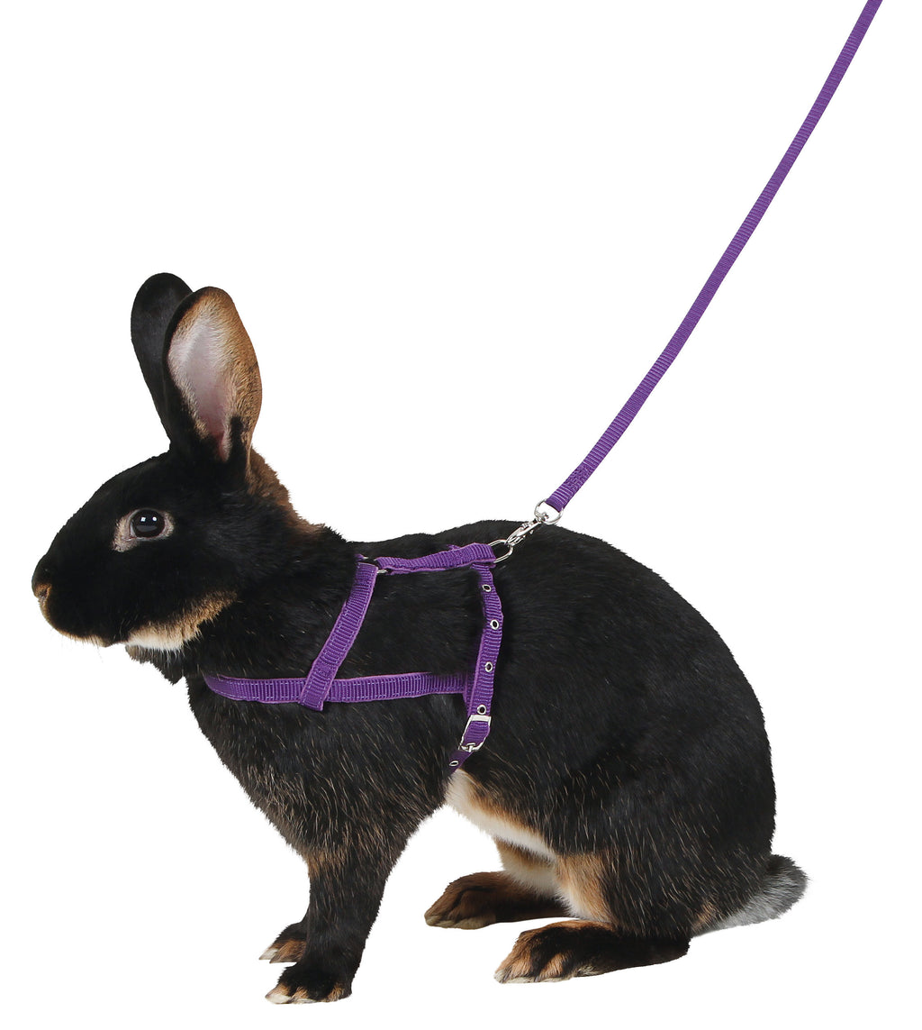 OPRSNICA Agility 21-35cm s povodcem 2m