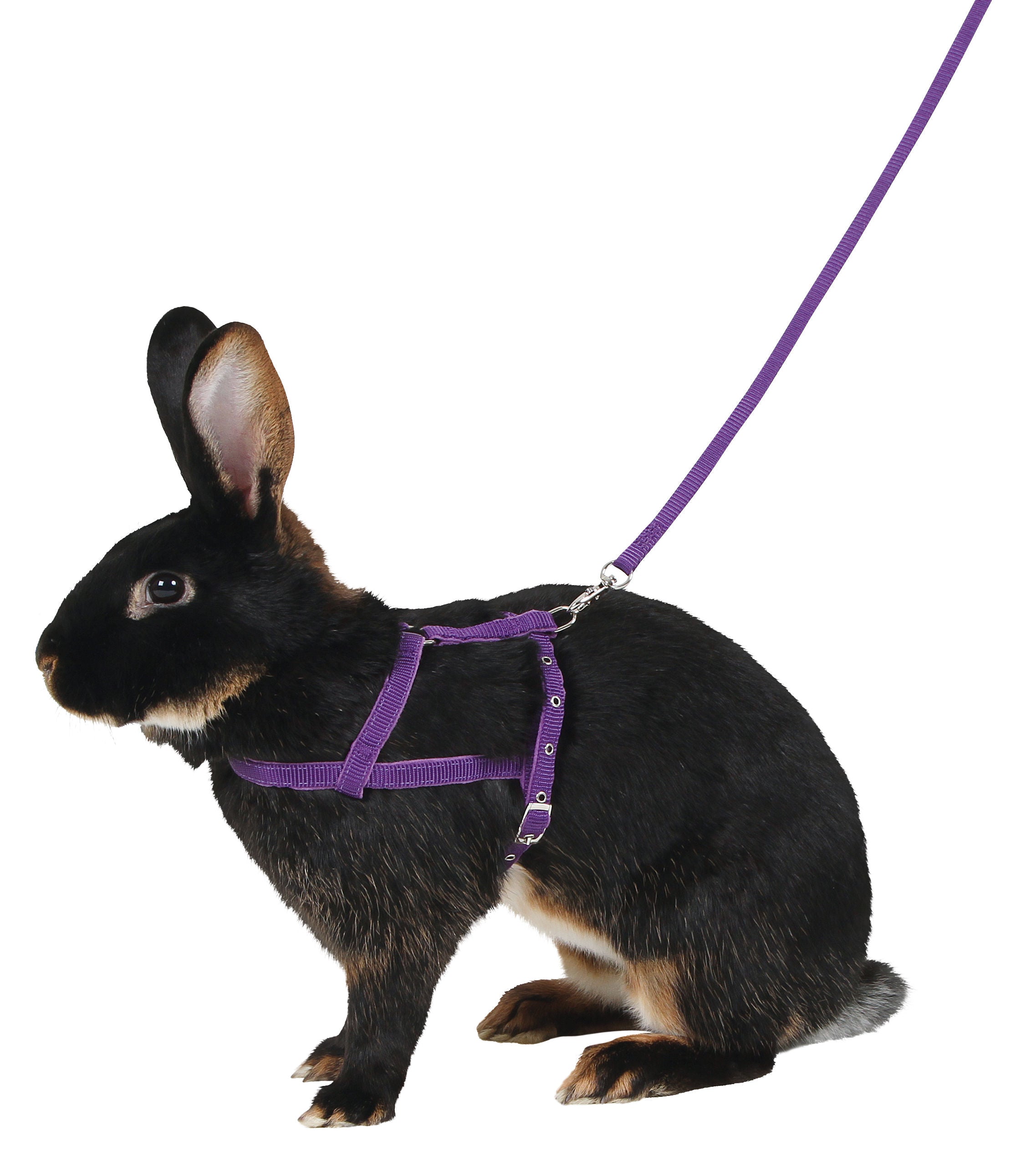 OPRSNICA Agility 21-35cm s povodcem 2m