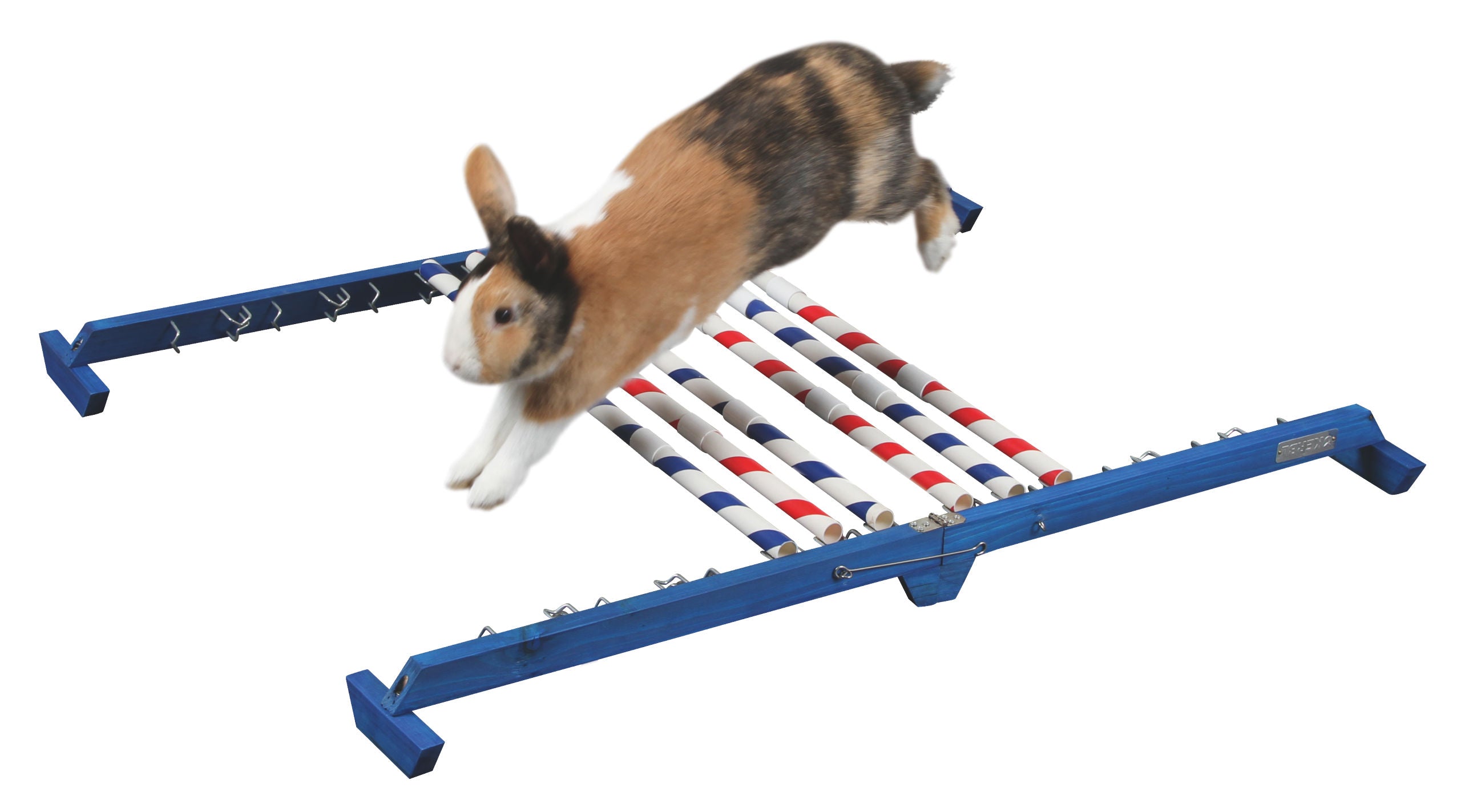 AGILITY skakalne ovire za glodalce Combo