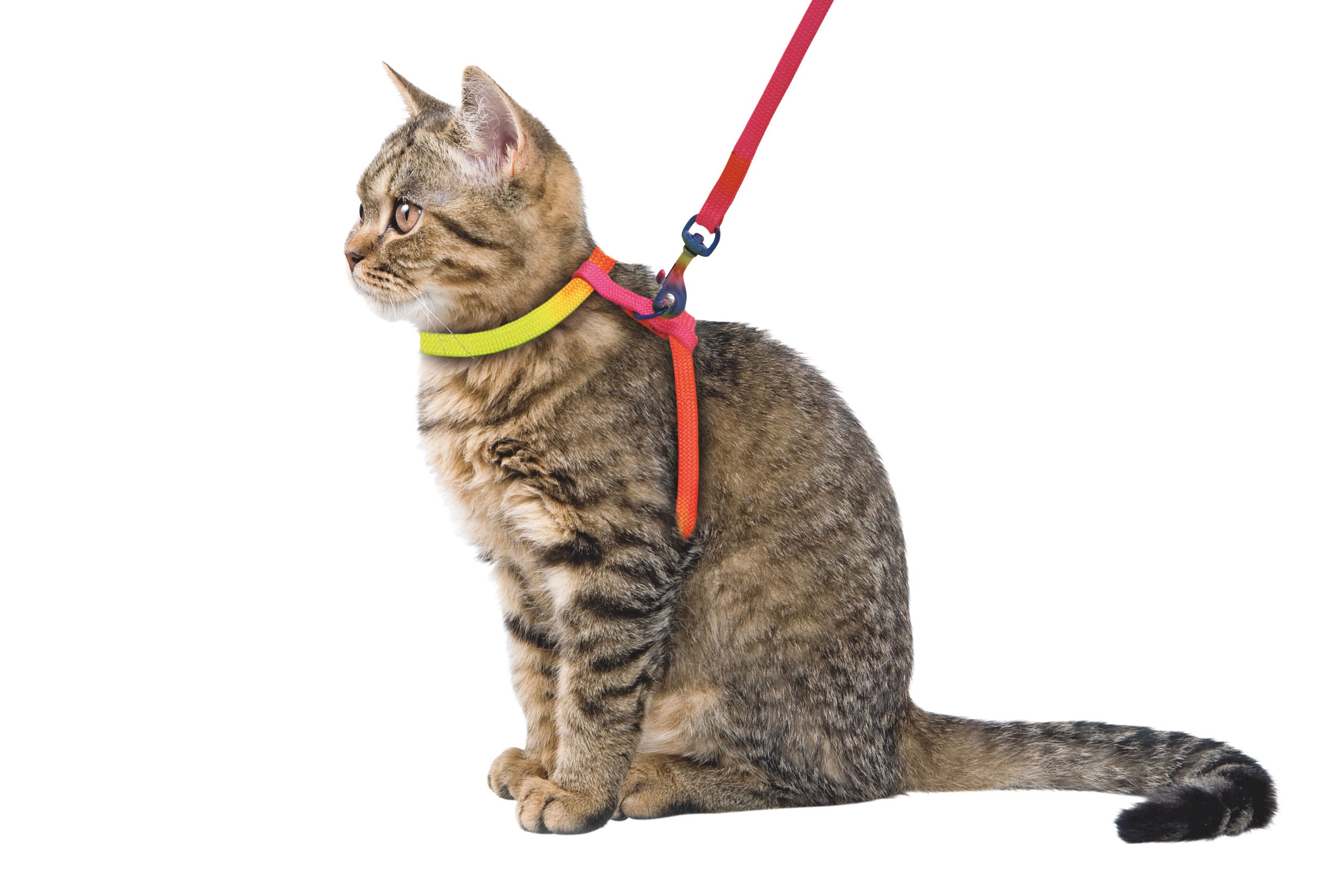 Posoda za macke RAINBOW 10 mm / 120 cm