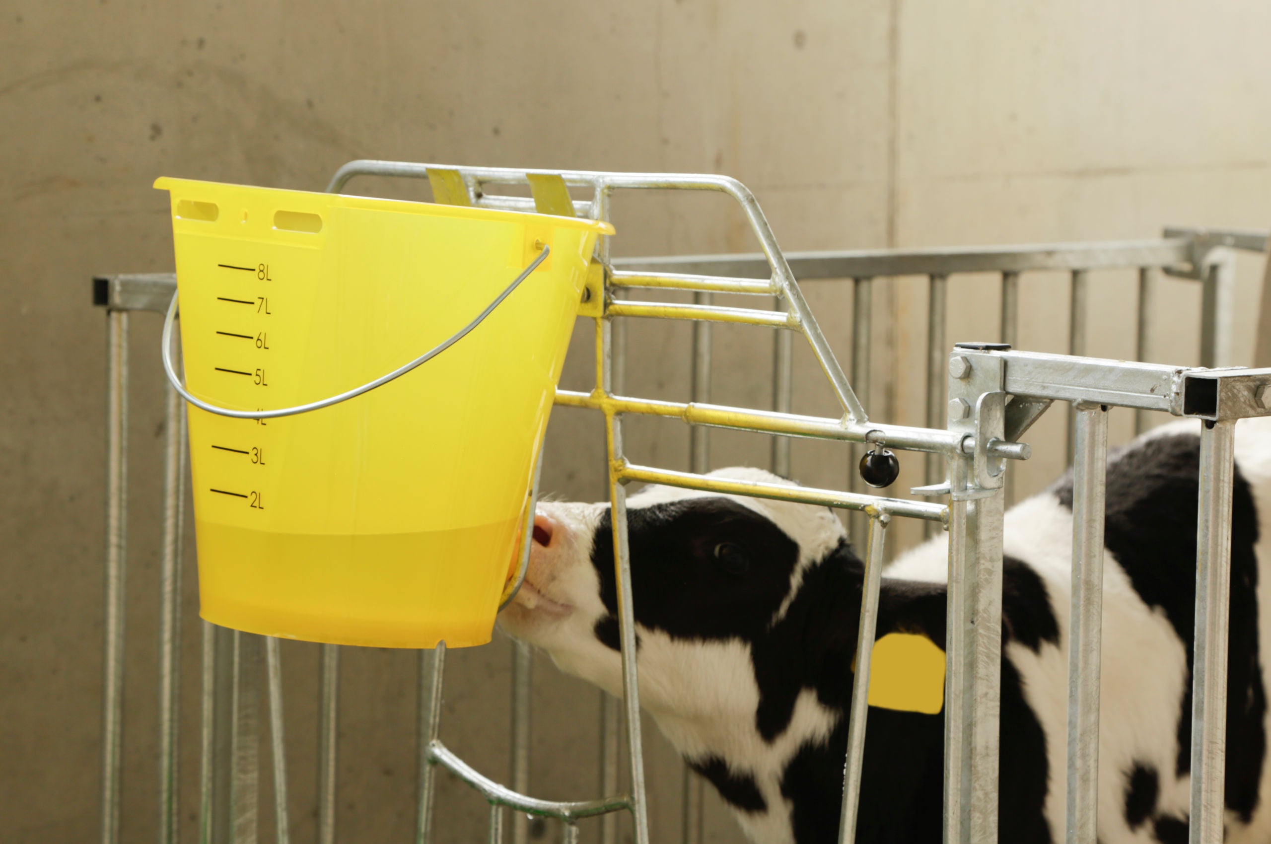 VEDRO za nap. telet brez dude prosojno rumeno