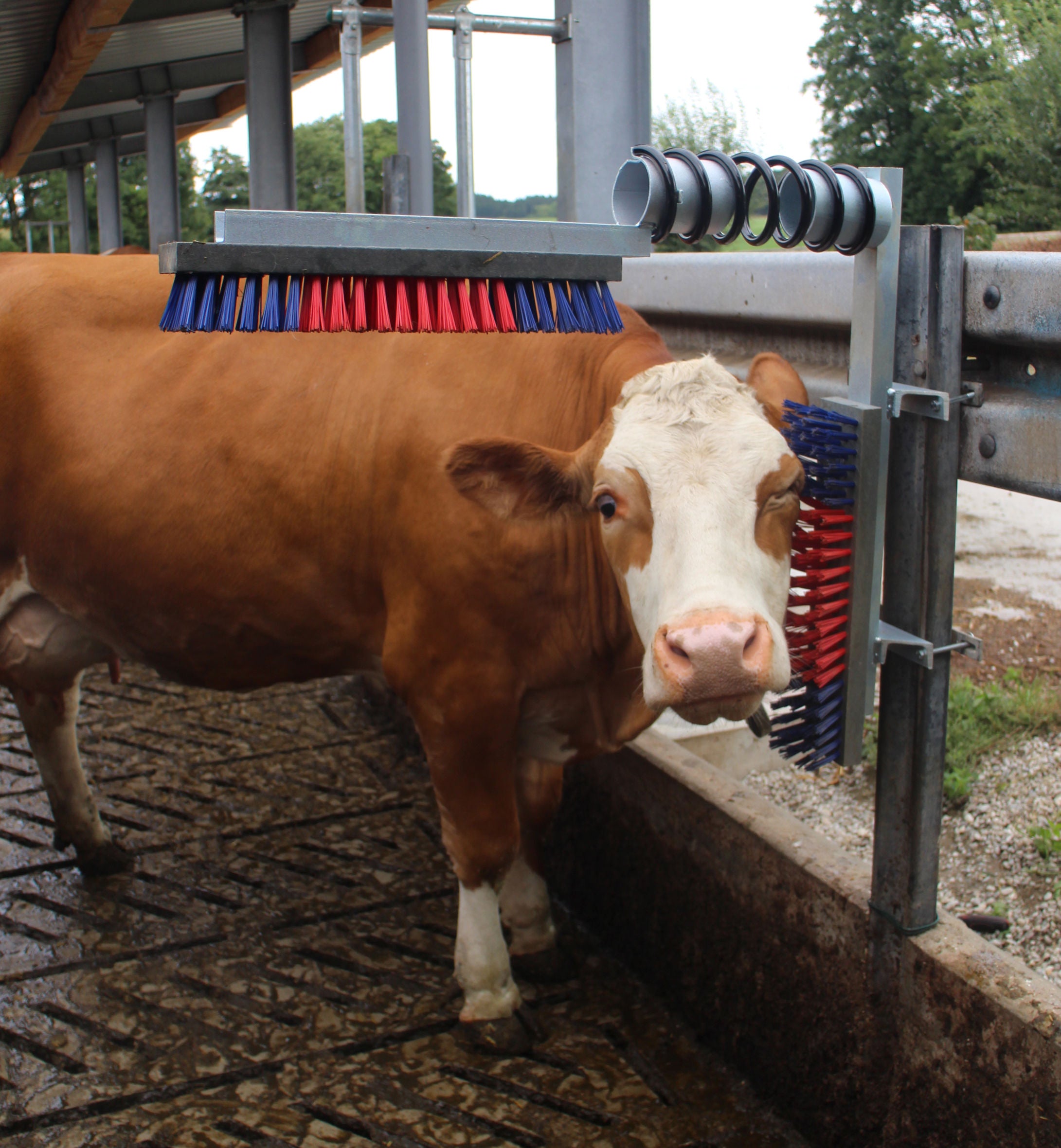 KRTACA kotna - Euro Farm