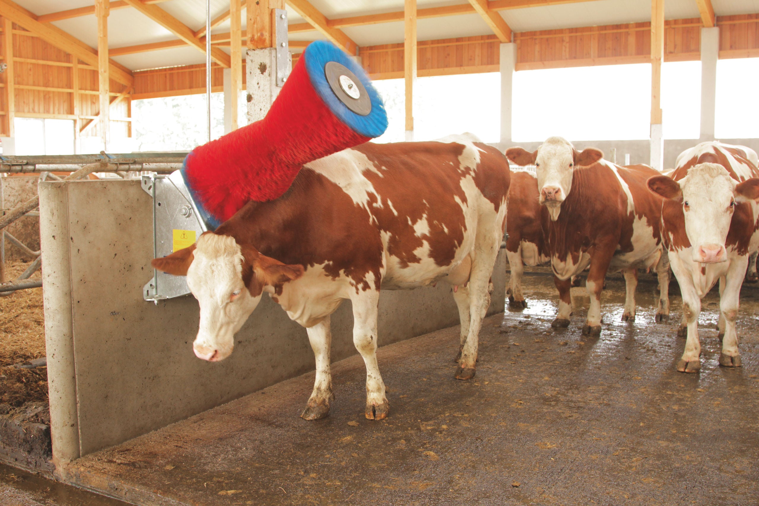 KRTACA vrtljiva - HappyCow Classic PP
