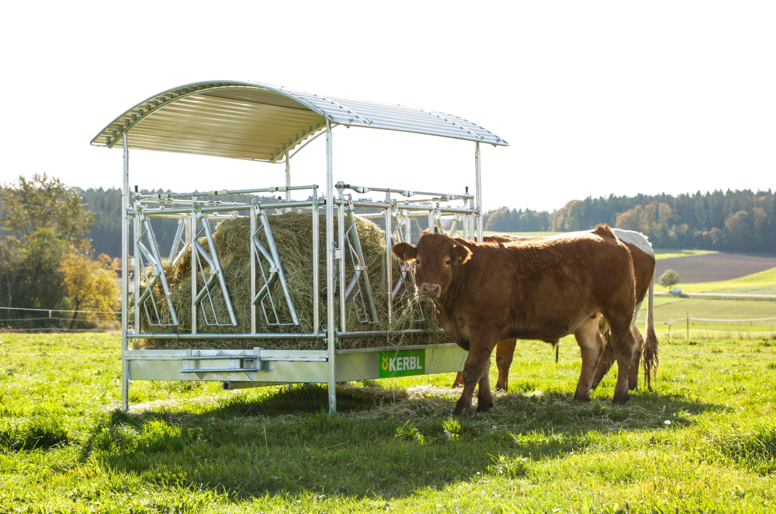 JASLI za bale za 12 živali  - 2,3×2,3×2,5m samozaporne