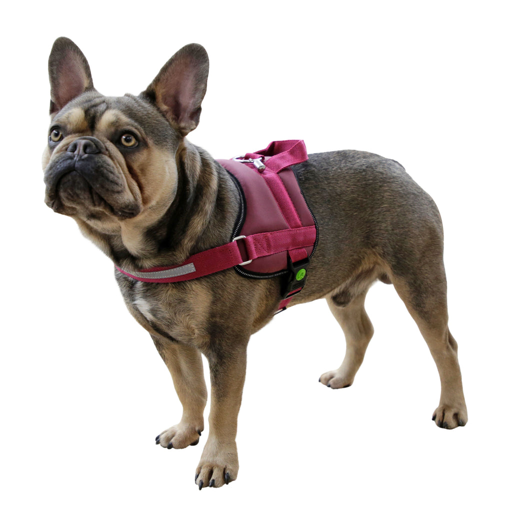 Varnostni pas Maestro 2.0, bordo 25 mm x 64-90 cm, z