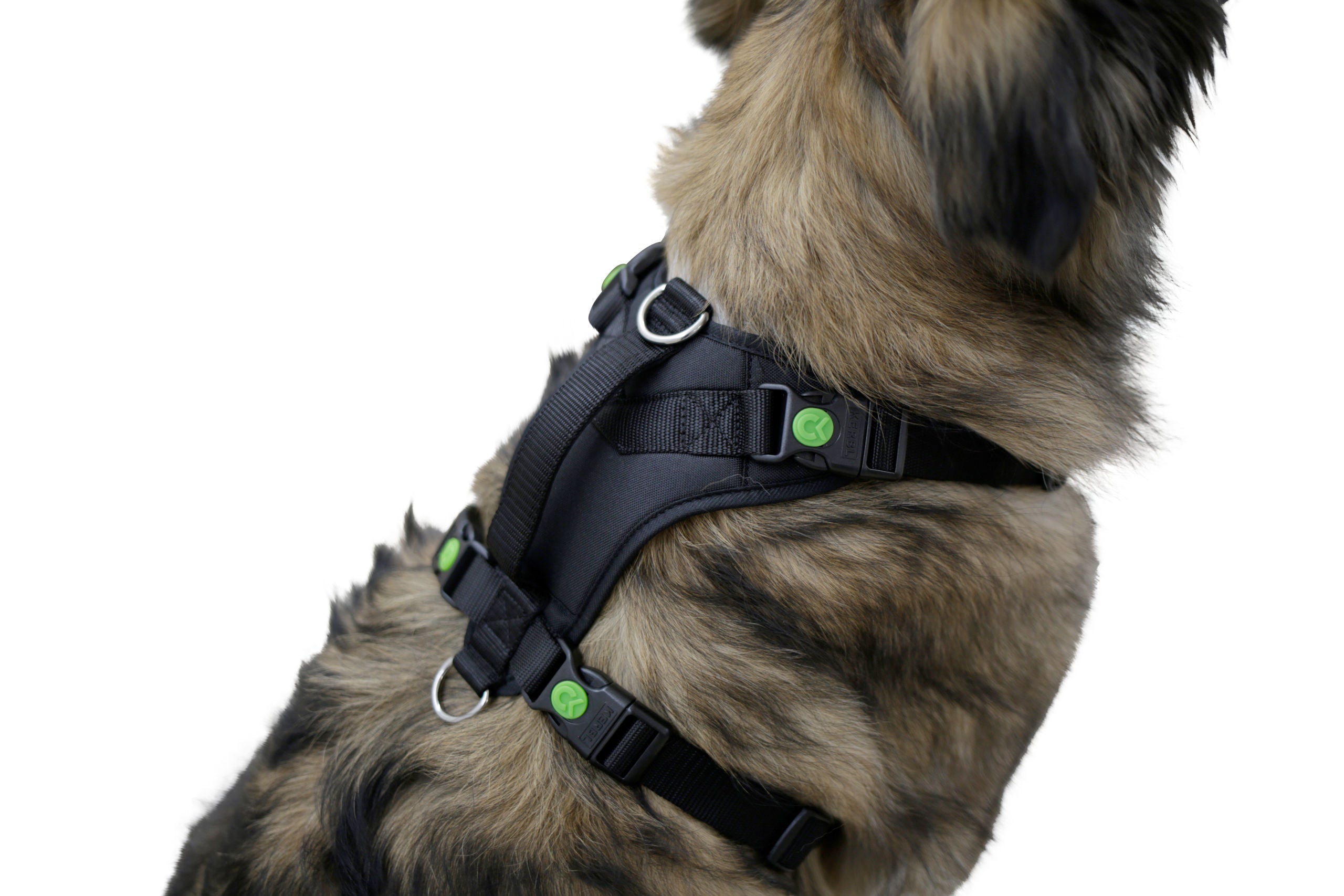 Pasji pas Pulsive, crn, 62-85c m, 72-96cm