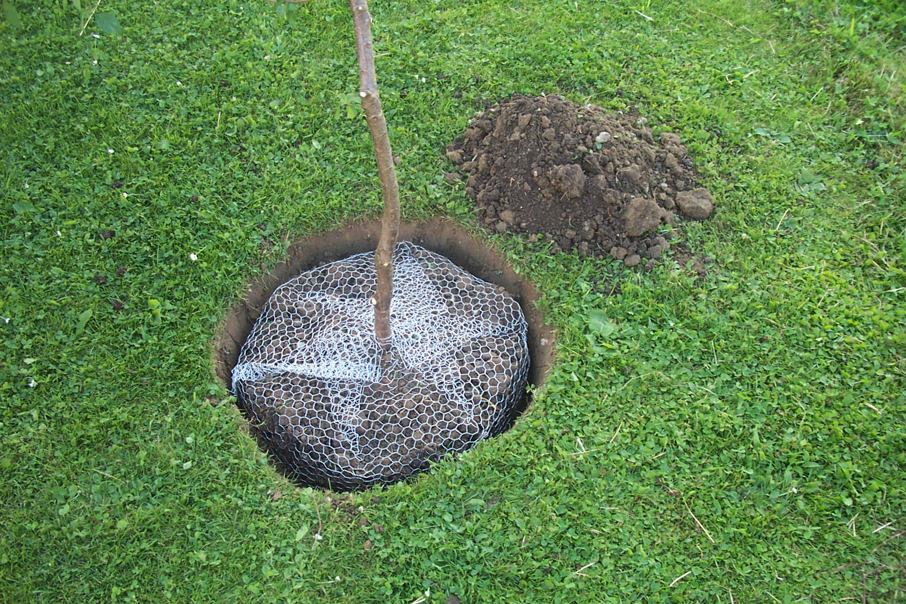 Koš.za zaš.pred vol. mala 35cm pocinkana