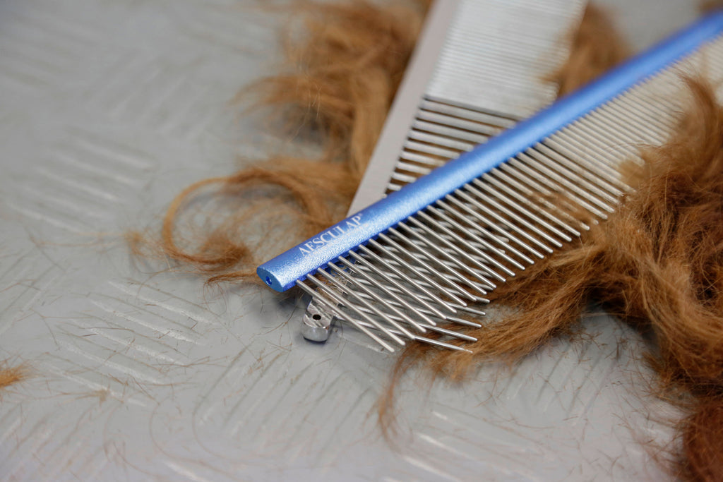 GLAVNIK Aesculap z modrim rocajem - 247x44x6mm