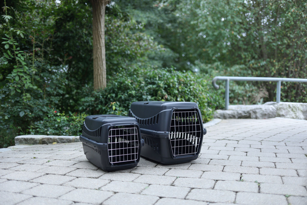 TRANSPORTNI box Expedion Eco crn - 58x38x38 cm