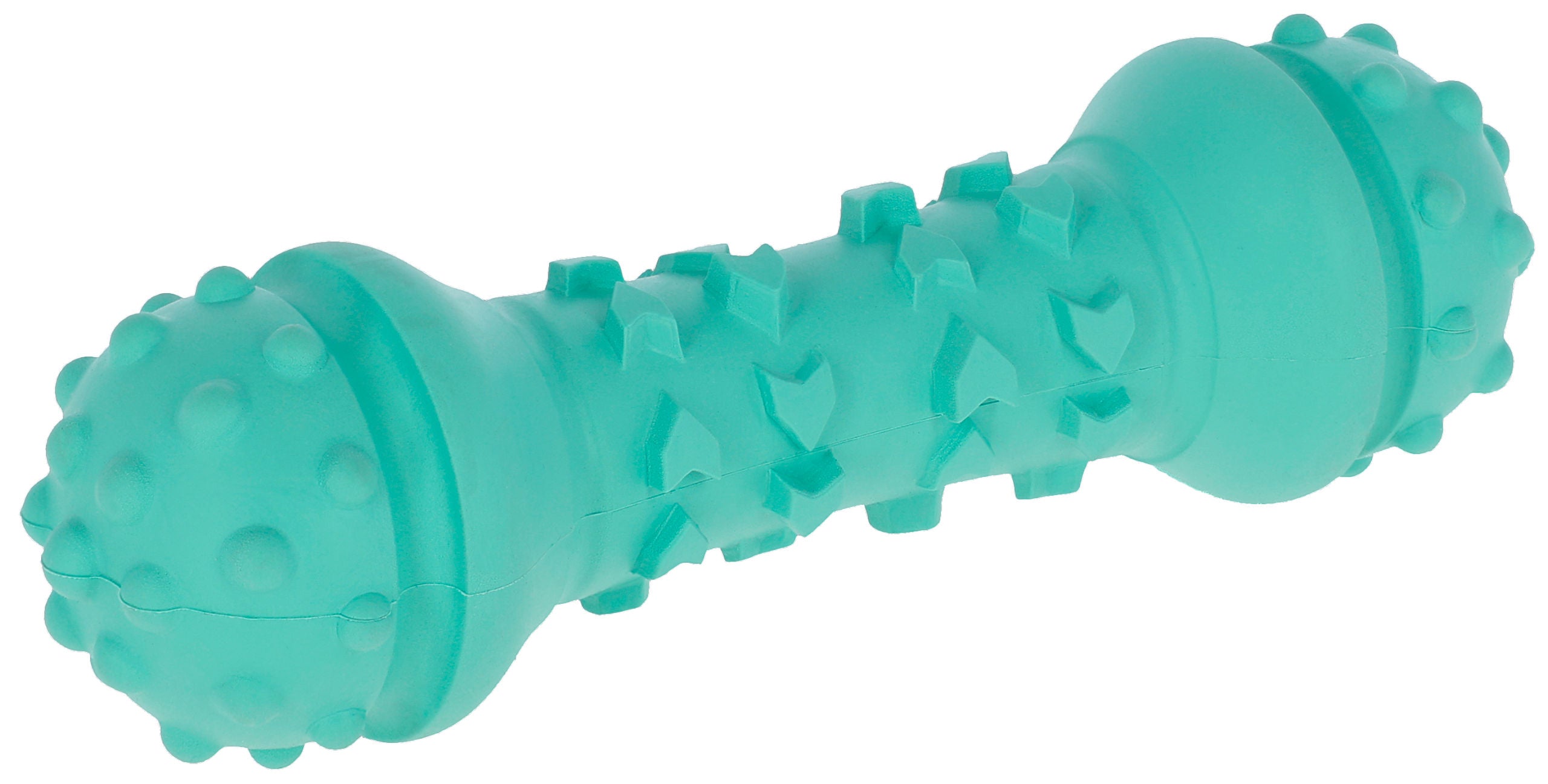 ToyFastic dumbbell, 18x5x5 cm, turkizna