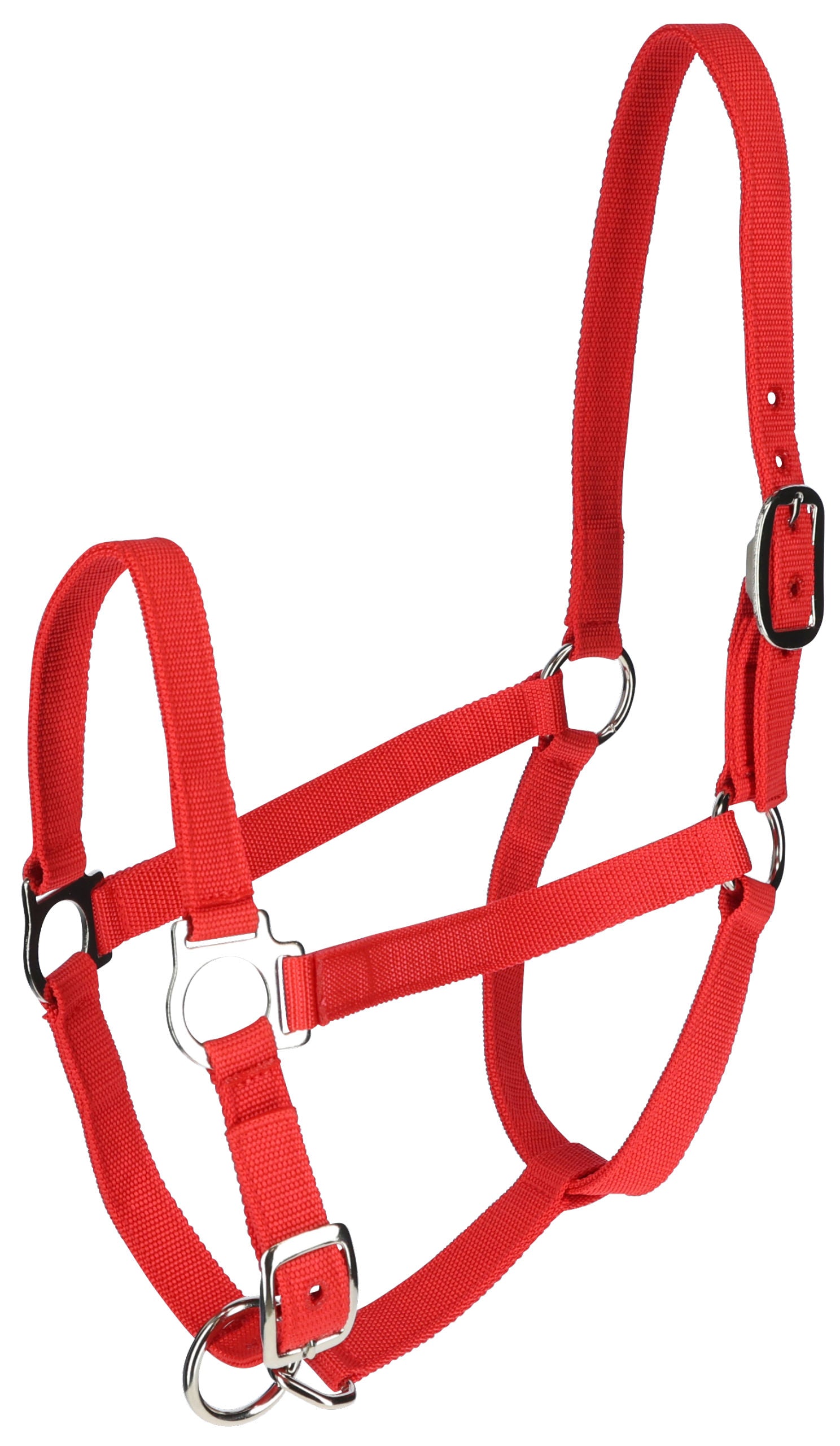 UZDA za kravo - rdeca