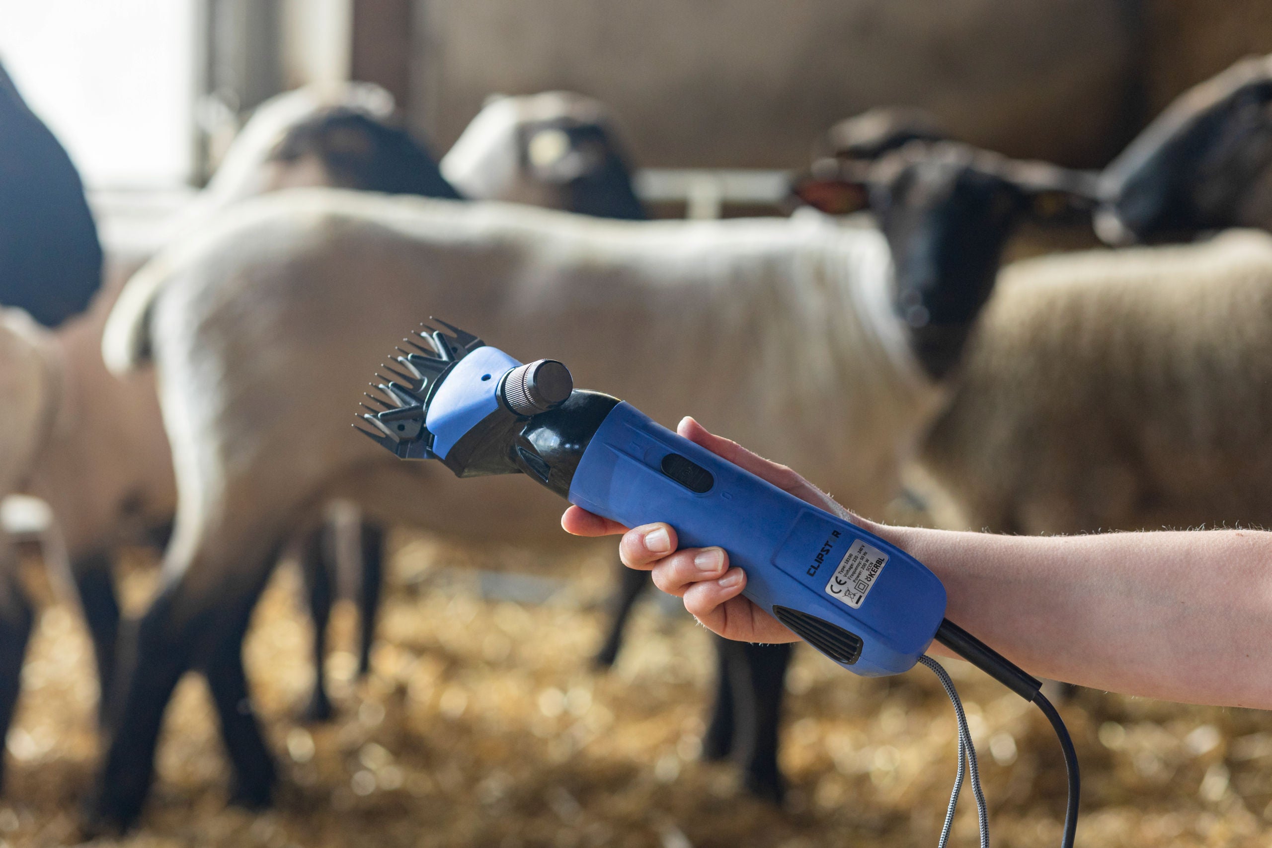 ELEKTRICNE ŠKARJE za ovce - Blue 200W