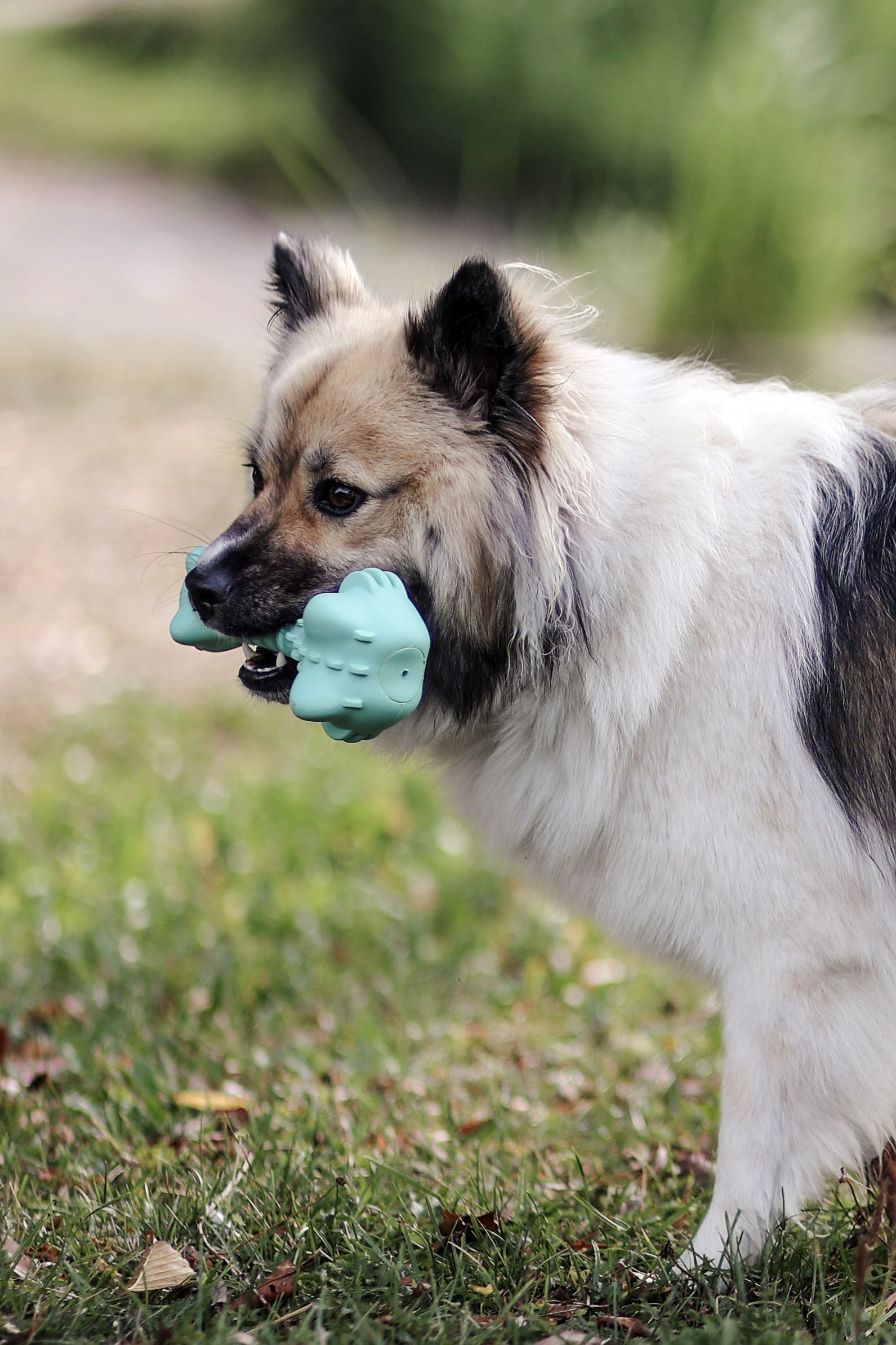 IGRACA za psa - krokodil ToyFastic - 18x9x7cm