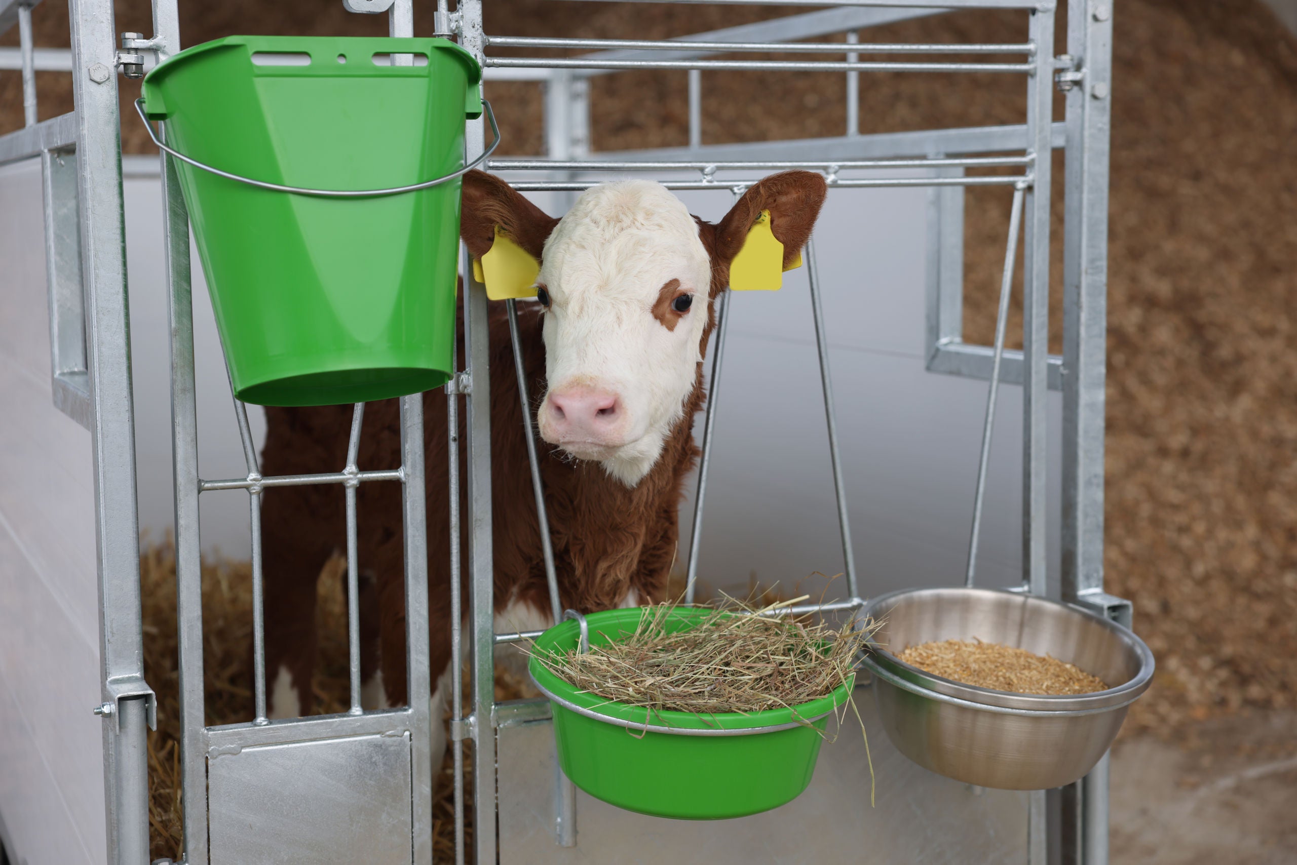 Boks za teleta Premium s premicnim dnom