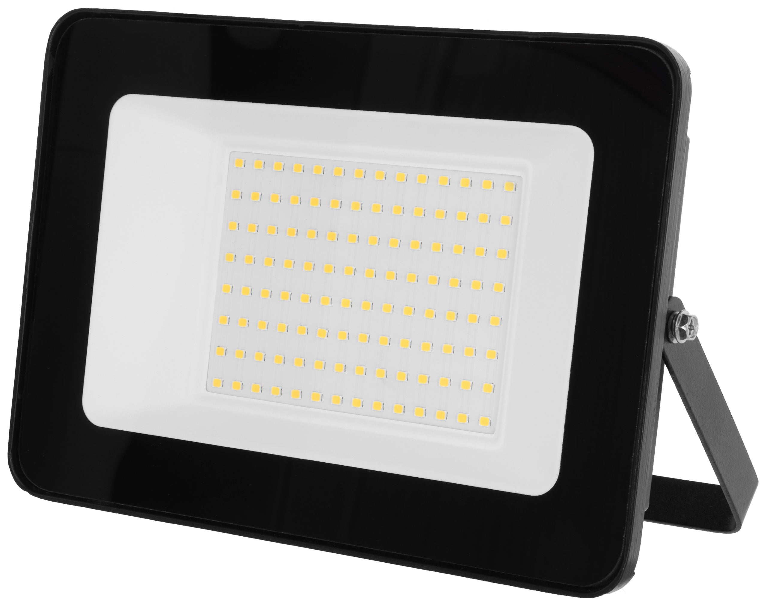 LED zunanji reflektor, 100 W