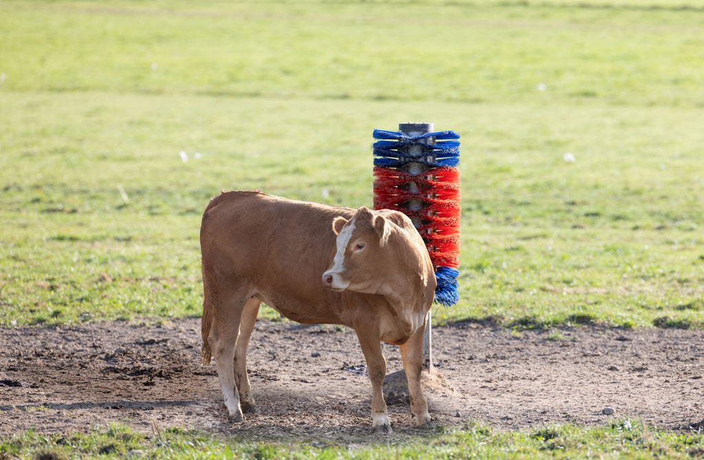 Krtaca za drog Maxi, za govedo in konje