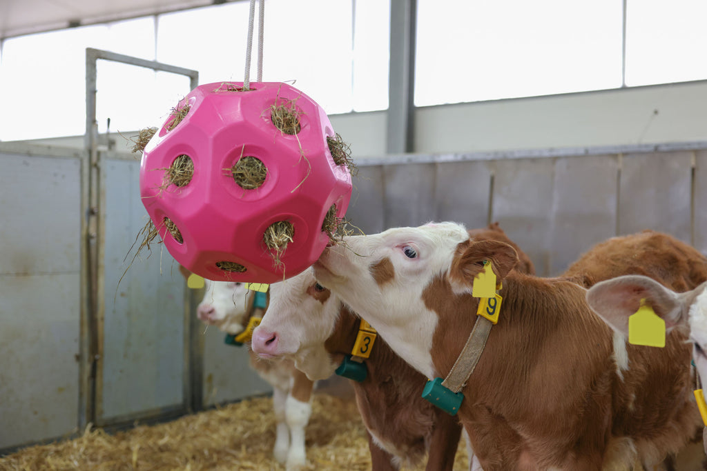 Krmilna žoga roza za konje