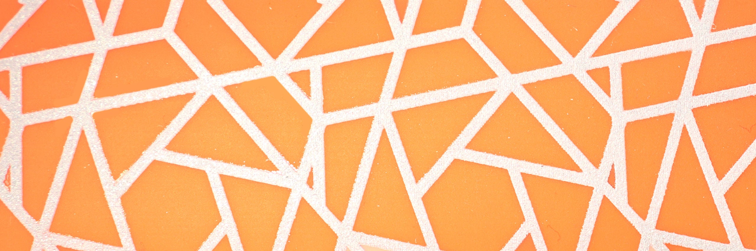 Povodec Puno, oranžen, 25 mm x 200 cm