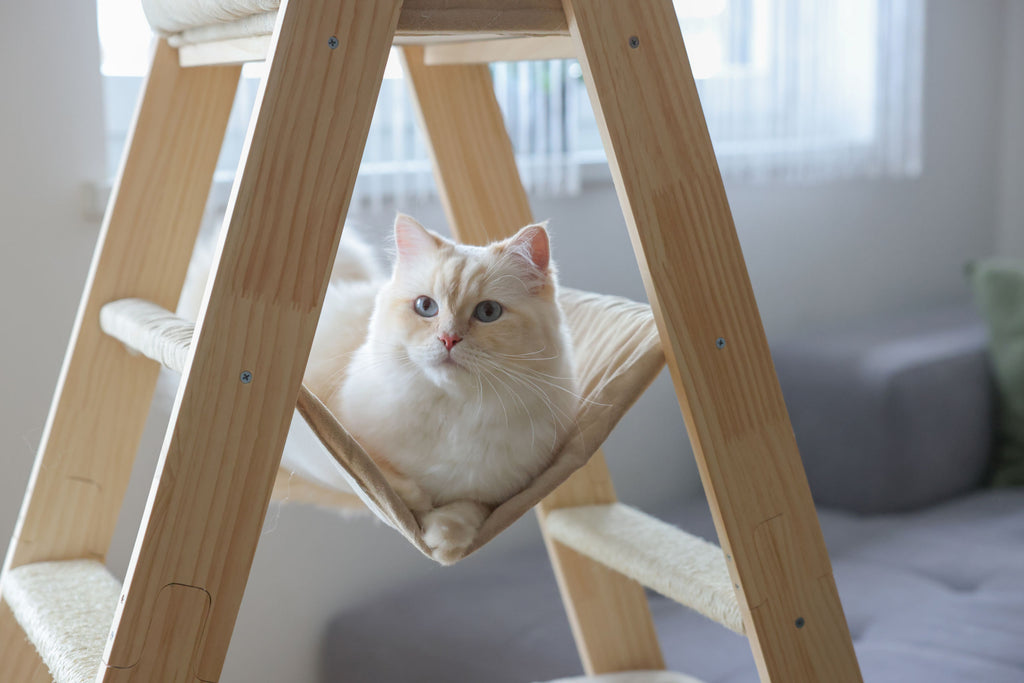 Praskalnik Ladder, 97x39,5x134cm, bež