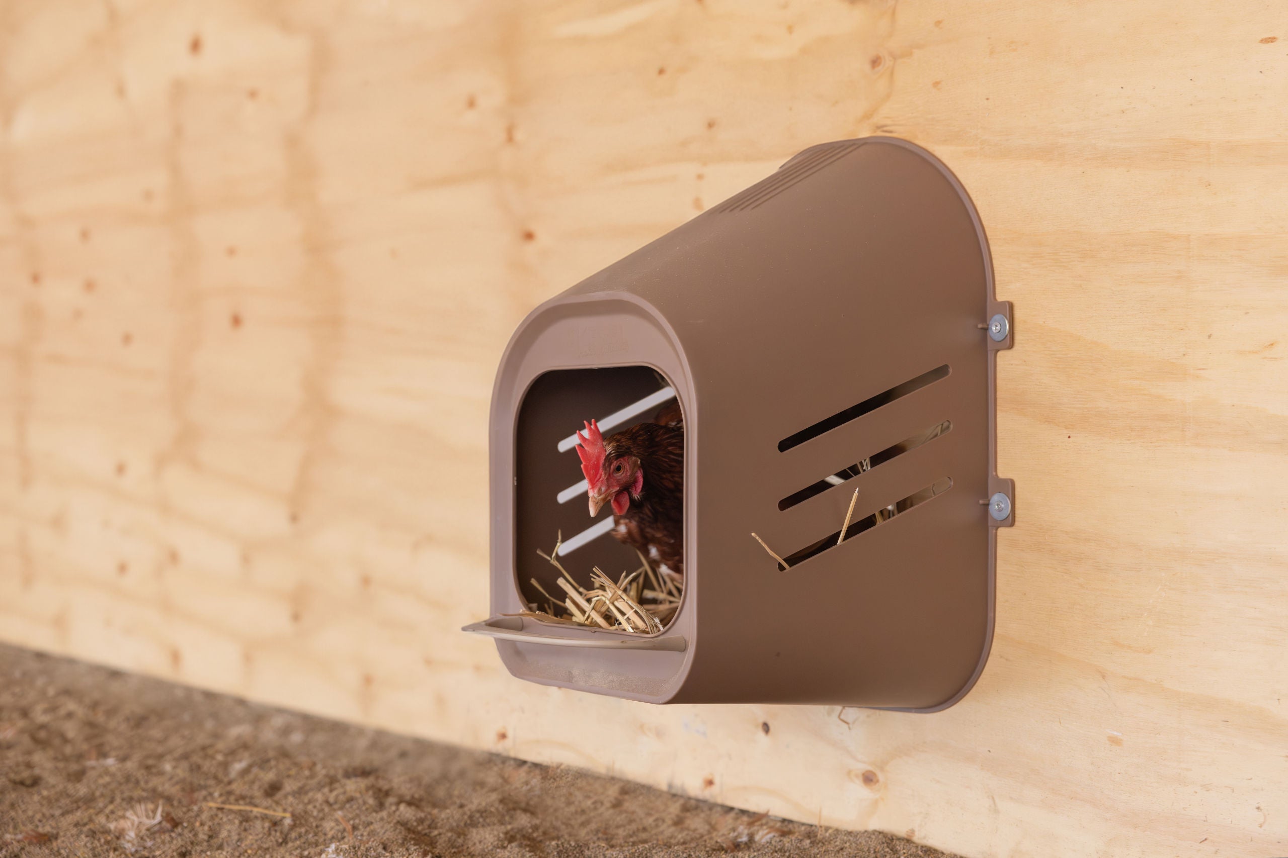 Gnezdo za nes. za kokoši rjavi