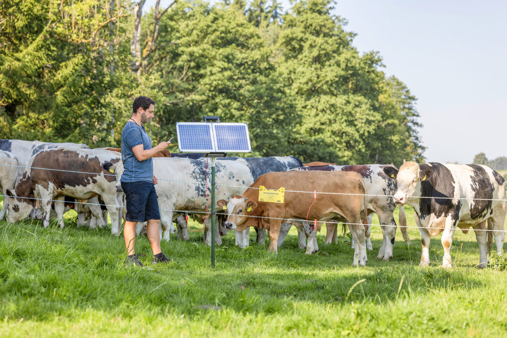 AKO SunPower S2400 Smart 12V pašni aparat