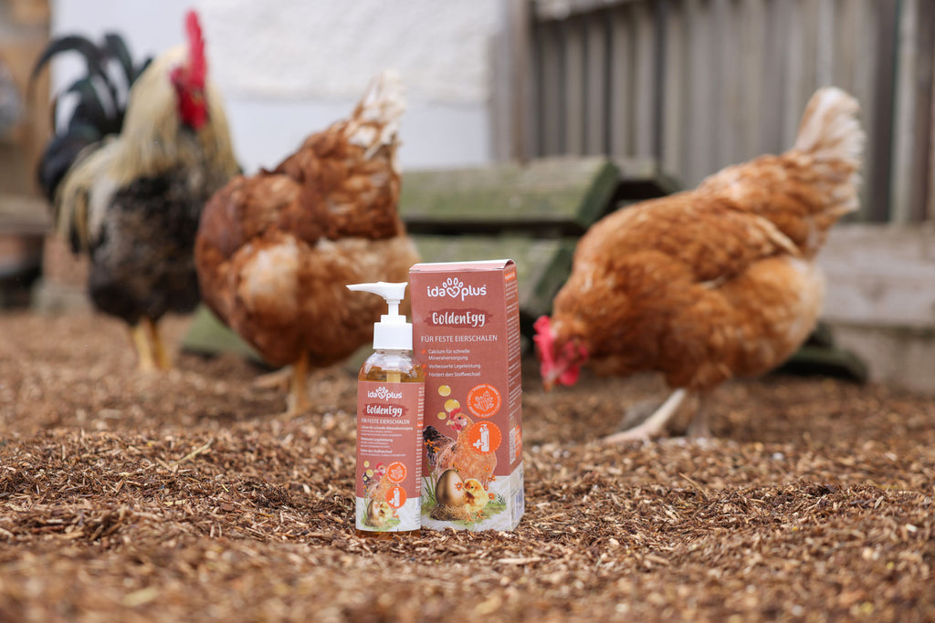 IdaPlus GoldenEgg 200ml