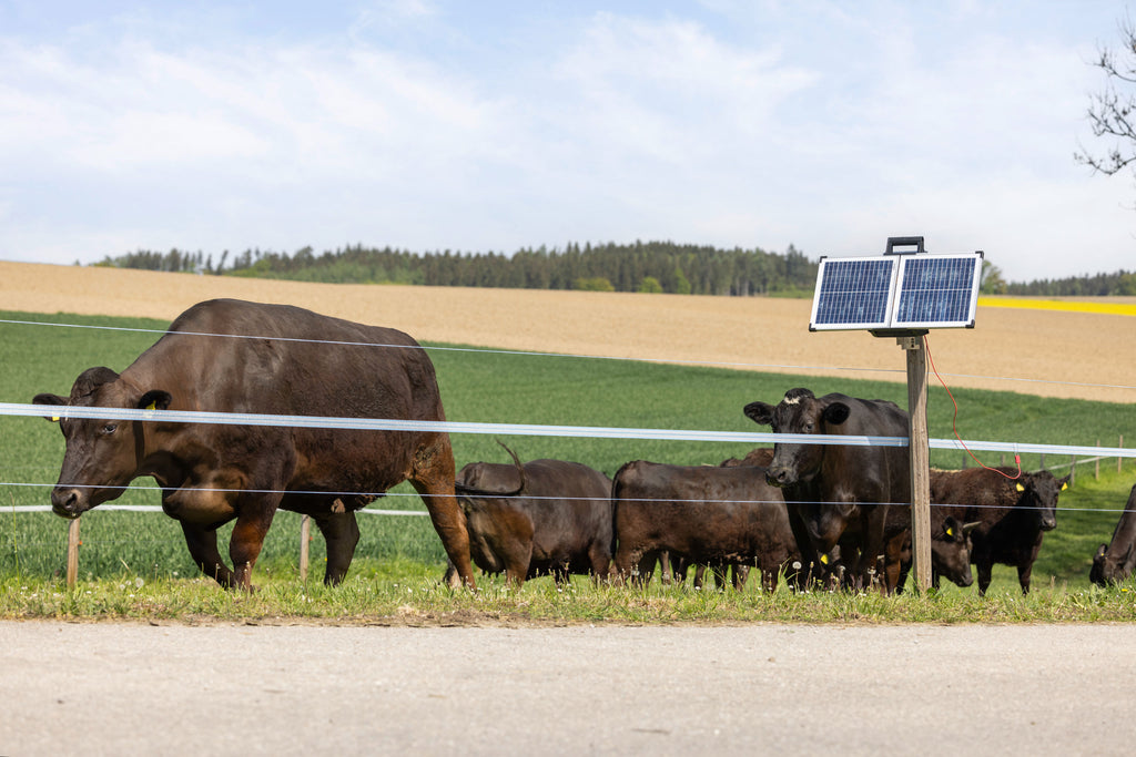 AKO SunPower S2400 Smart 12V pašni aparat