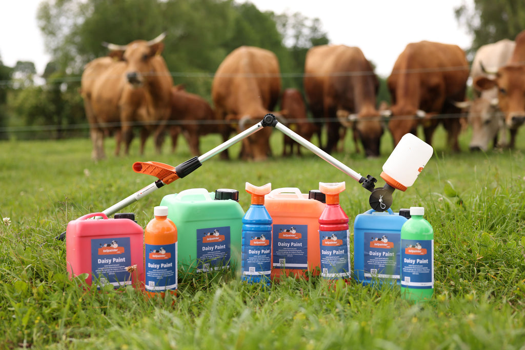 Daisy Paint, rdeca, 5 l