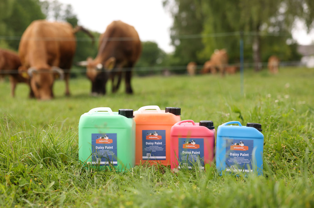 Daisy Paint, rdeca, 5 l