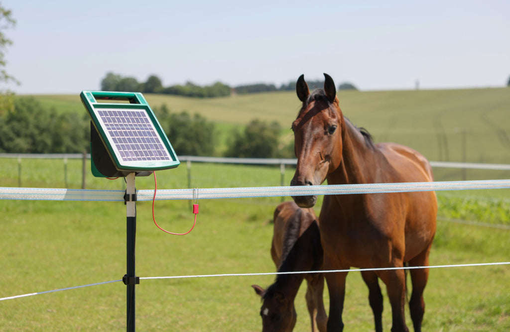 AKO SunPower S1000 Elektricni pastir