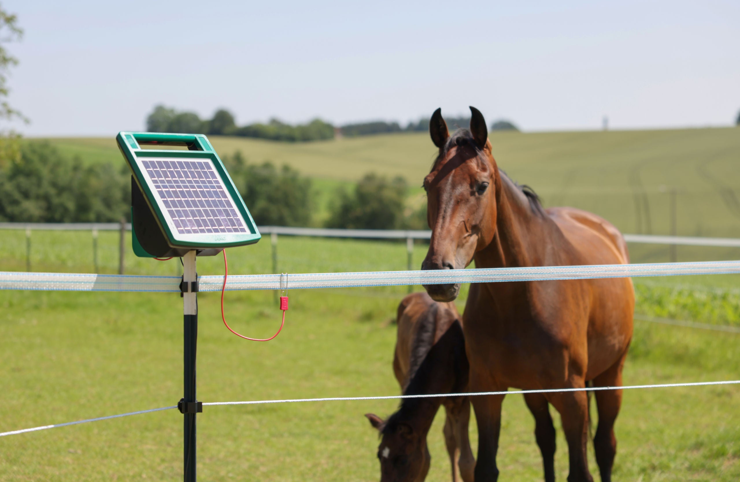 AKO SunPower S1000 Elektricni pastir