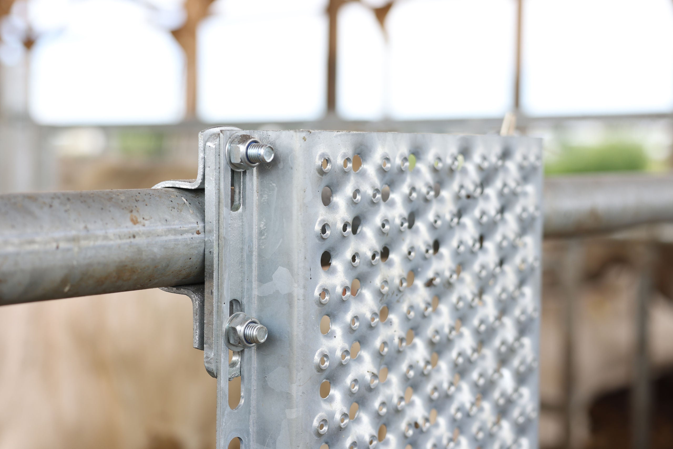 Praskalna pločevina za govedo 90 cm x 30 cm