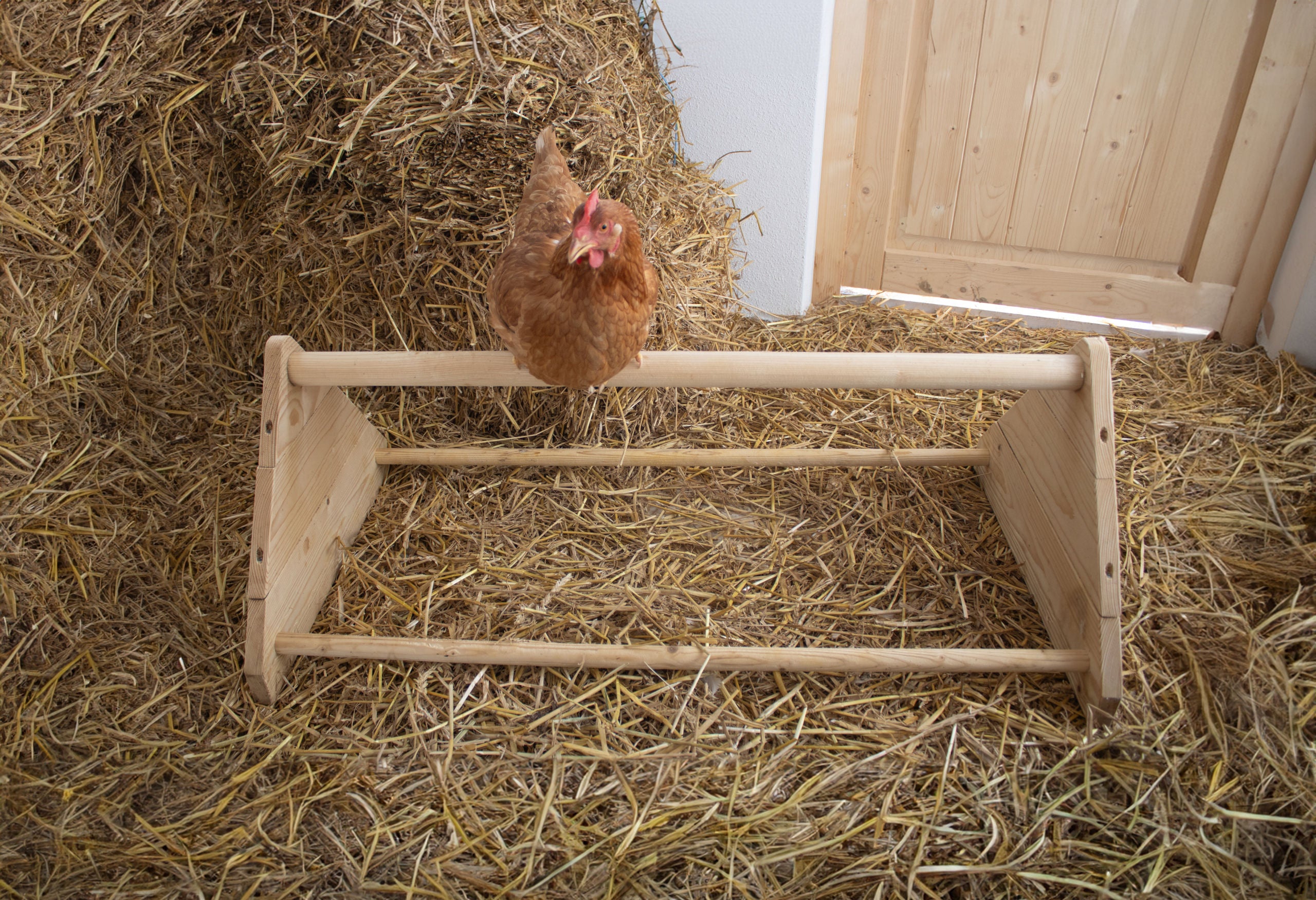 Palica za sedenje za kokoši 56 x 40 x 25cm, les