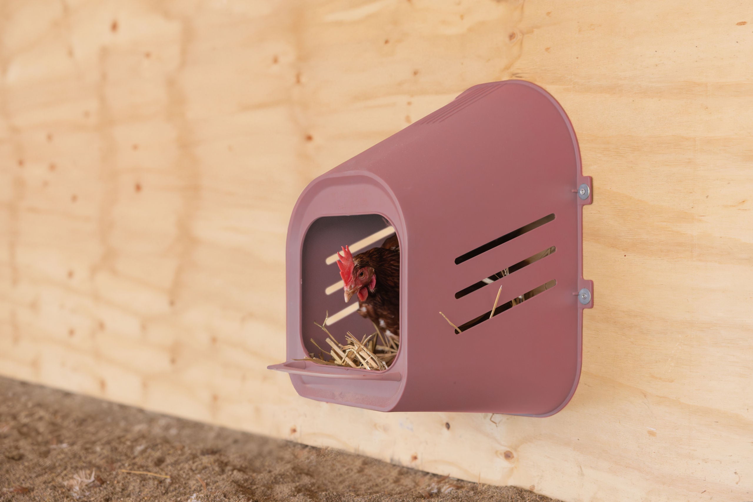 Gnezdo za nes. za kokoši roza