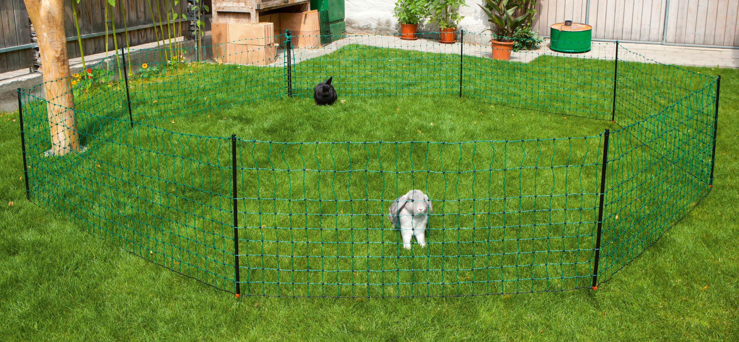 MREŽA za zajce zelena 65cm enojna - 25m