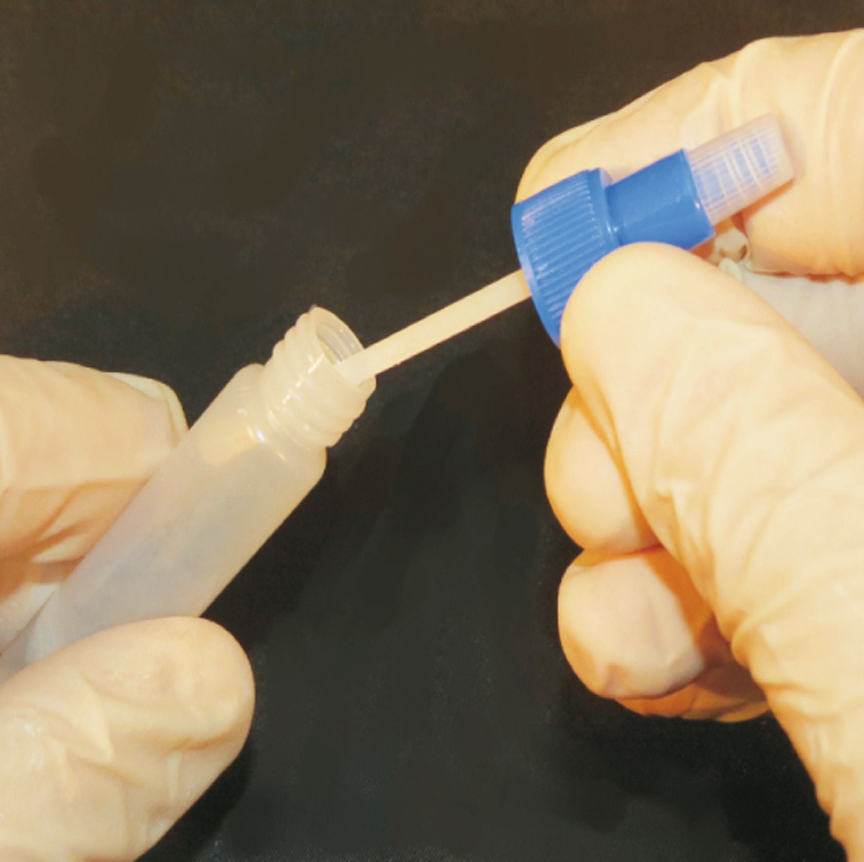 TESTER BoDia za drisko za teleta