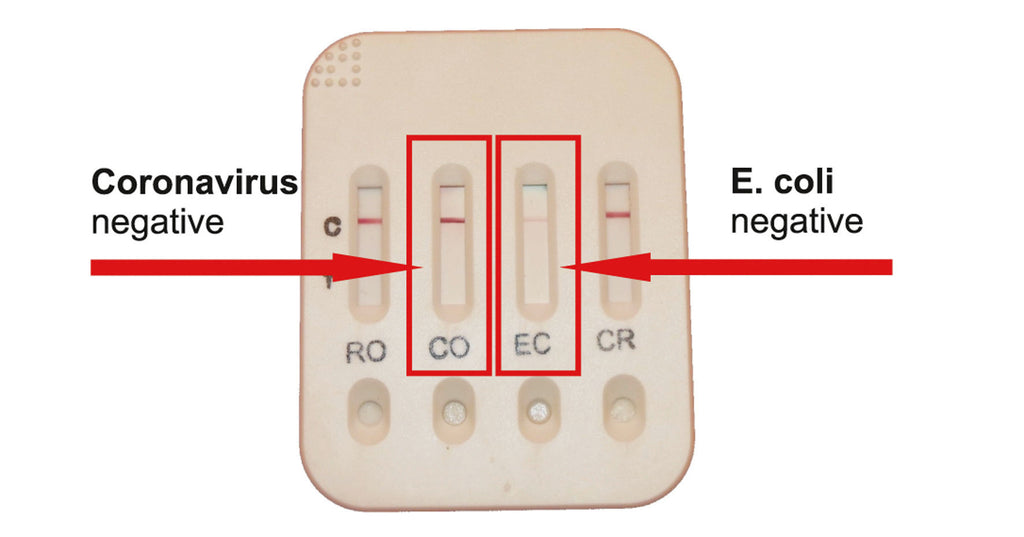 TESTER BoDia za drisko za teleta