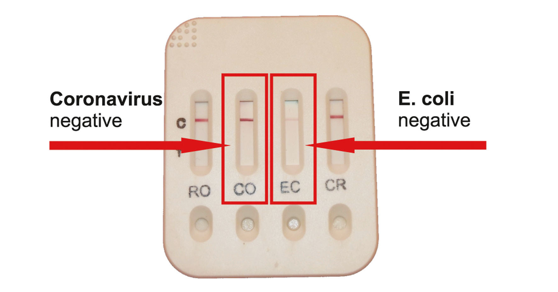 TESTER BoDia za drisko za teleta