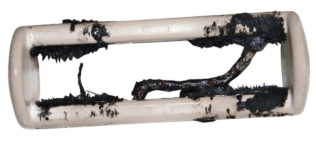 MAGNET mocnejši za govedo Fortissimo