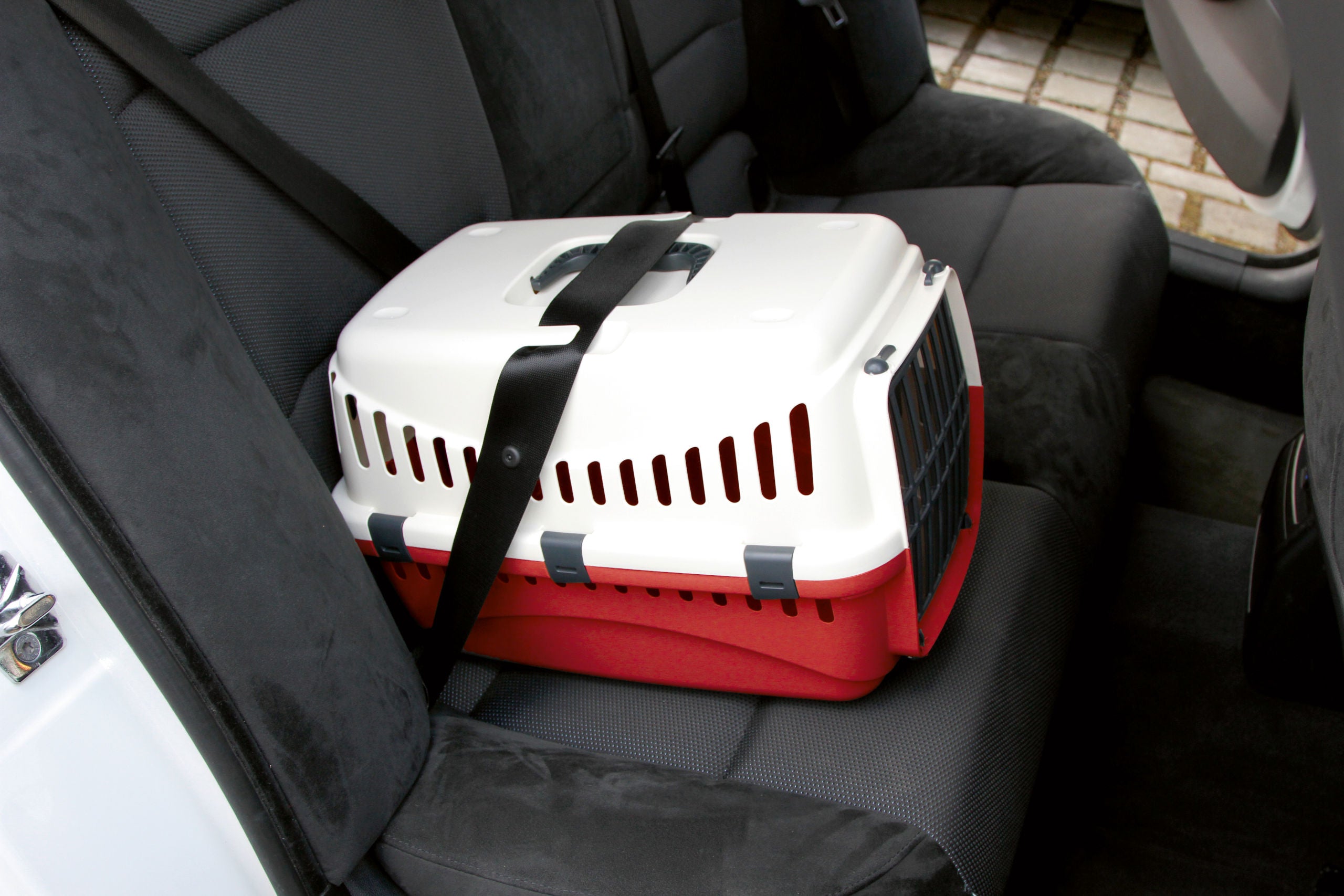 TRANSPORTNI box Expedion 45×30×30cm krem/bordo