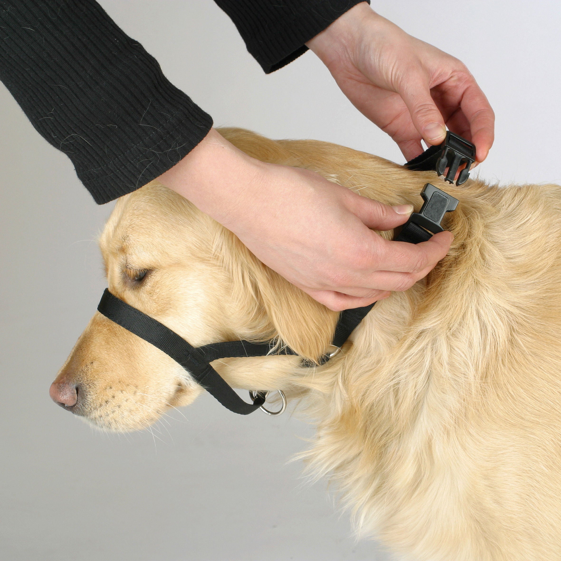 MAXI COACH velikost 2 crna < 24cm