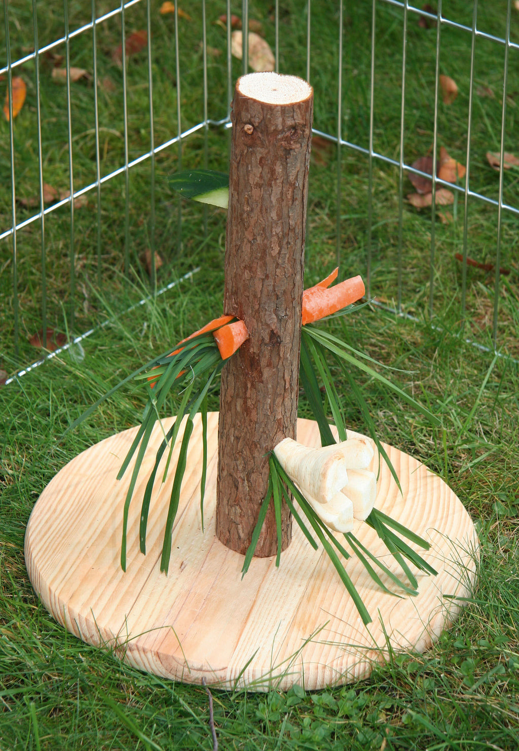 Krmno steblo, višina: 30 cm