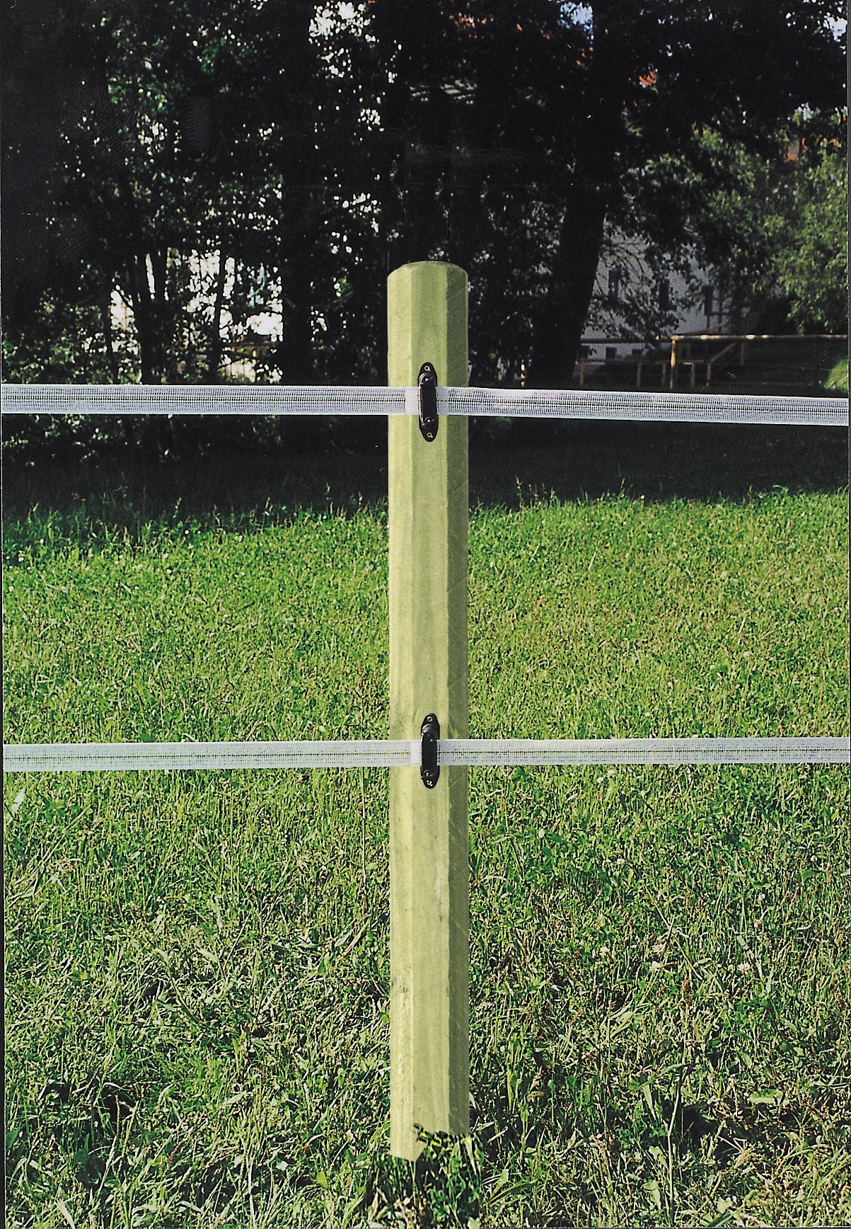 PALICA Octo Wood 150cm / 60mm